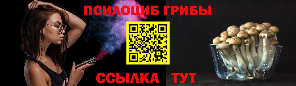 Галлюциногенные грибы Psilocybe Петрозаводск